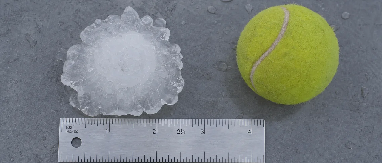 Hailstone beside a ruler showing 2.5-inch hail.