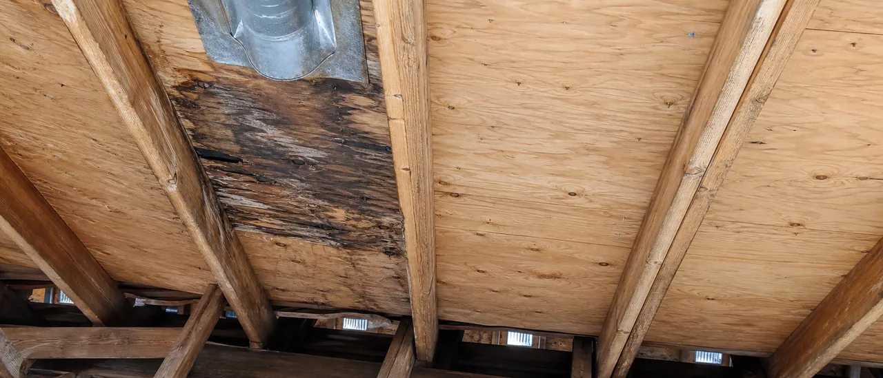 Educational illustration explaining what causes rotted roof decking.
