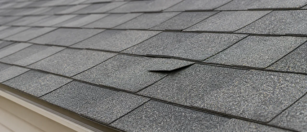 Educational illustration explaining what causes loose shingles.