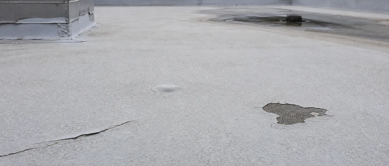 Educational illustration explaining what problems are common with roof coating systems.